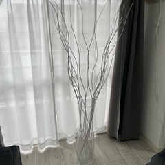 透明な花瓶と白い枝セットの画像