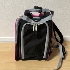 スキーケースとブーツケースのセットの画像