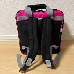 スキーケースとブーツケースのセットの画像