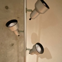 間接照明／照明器具／電気スタンドの画像