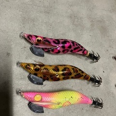 エギ　エギセット　ヤマシタ　エバーグリーン　duelの画像