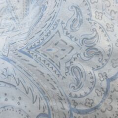 羽毛布団（ブルー）　ホワイトグースダウン　　薄手タイプ　シングル　の画像