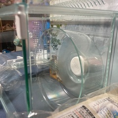 ハムスターケージの画像