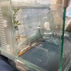 ハムスターケージの画像