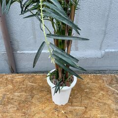 ★ フェイクグリーン フィロデンドロン 全長約180cm 造花 観葉植物 の画像