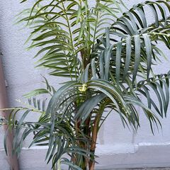 ★ フェイクグリーン フィロデンドロン 全長約180cm 造花 観葉植物 の画像