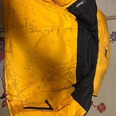 BEARのダウンです。の画像