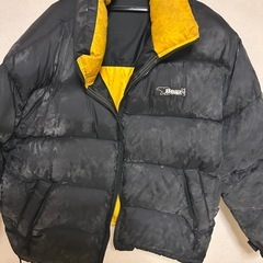 BEARのダウンです。の画像