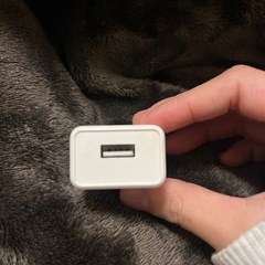 ホワイト 充電アダプター 5V-2000mAの画像