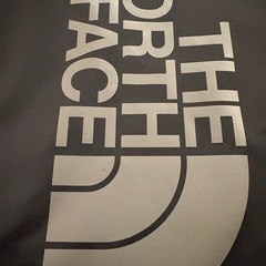 値下げ！ノースフェイス　ナップサック　ピーエフ サックパック（13L） 美品の画像