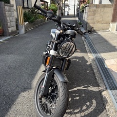 スヴァルトピレン401　の画像