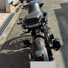 スヴァルトピレン401　の画像