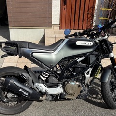 スヴァルトピレン401　の画像