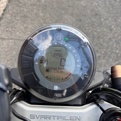 スヴァルトピレン401　の画像