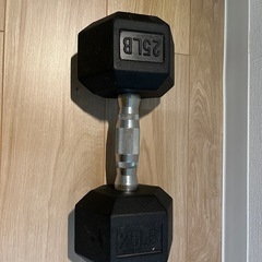 ダンベル&プッシュアップバーの画像