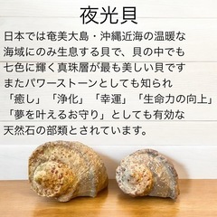 夜光貝シンプルピアスの画像