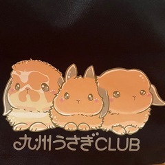 九州うさぎCLUBオリジナル キャリーケース＋キャリーカバーBLACKの画像