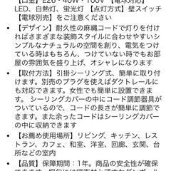 天井照明 麻ロープペンダントライト 2灯 の画像