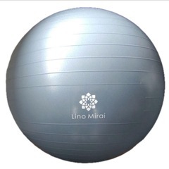 筋トレぐグッズ セット ＆　リノミライバランスボール 55cmの画像
