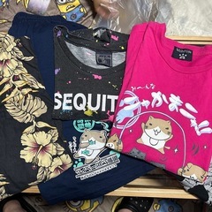 レディースⓂ️🌟土日なら【500円】の画像