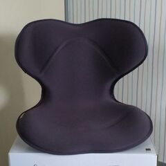 MTG Style SMART　姿勢矯正・骨盤サポートの画像