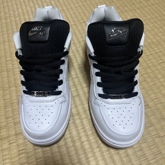 ナイキ SB ピーロッド1 レトロ "ホワイト アンド ブラックの画像