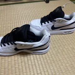 ナイキ SB ピーロッド1 レトロ "ホワイト アンド ブラックの画像