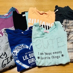 【近々処分】袋いっぱい【140㌢】の画像