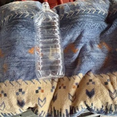 クッションの画像