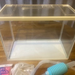 すいそう水槽&飼育セット　の画像