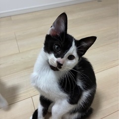 生後3ヶ月・男の子