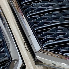 ヴェルファイア30前期 フォグランプカバー ゴルデンアイズ スモークメッキの画像