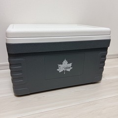 LOGOS クーラーボックスの画像