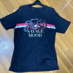 ZARA Tシャツの画像