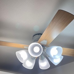 ファン付シーリングライトの画像