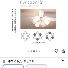 ファン付シーリングライトの画像