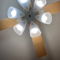 ファン付シーリングライトの画像
