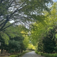 🌿【熊本市】熊本県民総合運動公園でゆる〜くお散歩しませんか？🚶‍♀️🚶‍♂️ - 熊本市