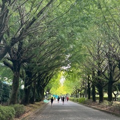 🌿【熊本市】熊本県民総合運動公園でゆる〜くお散歩しませんか…