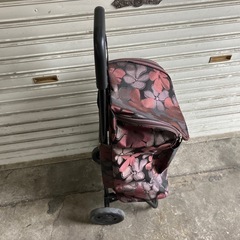 買い物カート　高齢者用　まだまだ使えます！
の画像