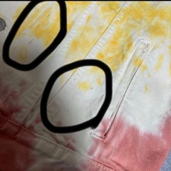 LEVI’S ジージャン 派手の画像