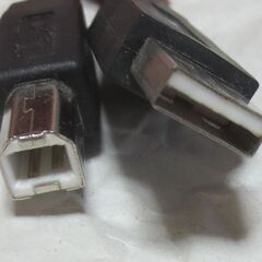 USBケーブル 全長150cm A-B プリンター等とパソコンを繋げます。の画像