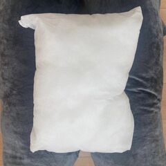 【正規品】ハグモッチ (枕・補充綿) 抱き枕の画像