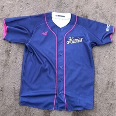 草野球チームNaviesのメンバー募集 11/29尼崎市での活動...