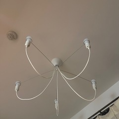 照明　スパイダーシャンデリアの画像