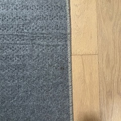 電気カーペット　1畳用　の画像