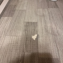 トイザらス　プレイマットの画像