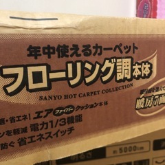 ホットカーペット　　2畳用の画像