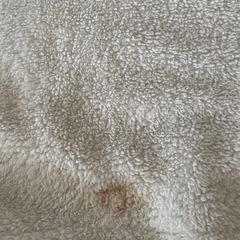 COSTCO コストコ　ブランケット　毛布　寝具　２つセット
の画像