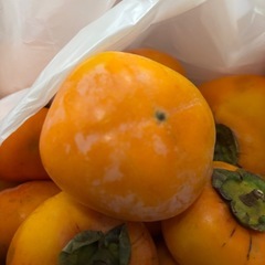早い者勝ち⚠️渋柿残り2袋‼️の画像
